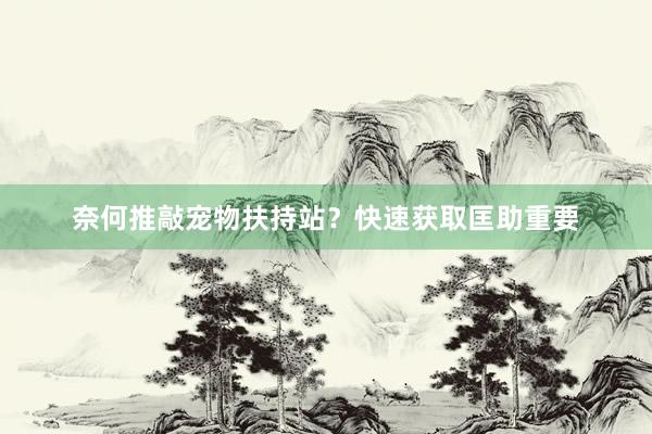 奈何推敲宠物扶持站？快速获取匡助重要